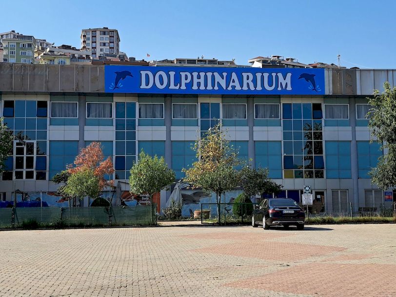 i̇stanbul dolphinarium